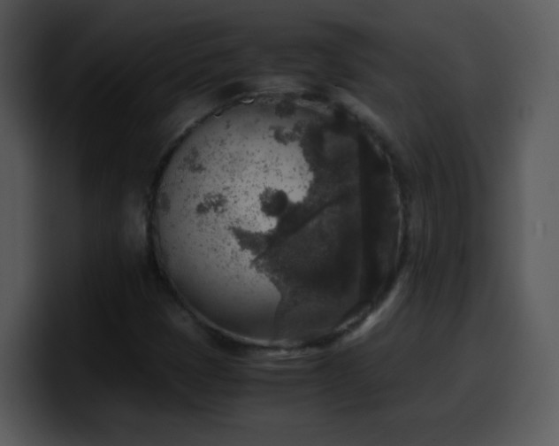 X0000100421401200806061353