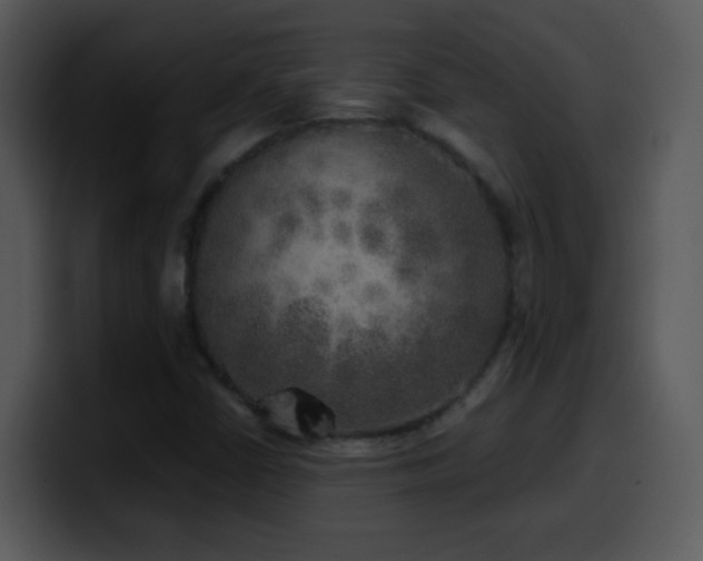 X0000100421402200806061353
