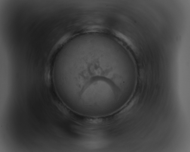 X0000100421403200806061353