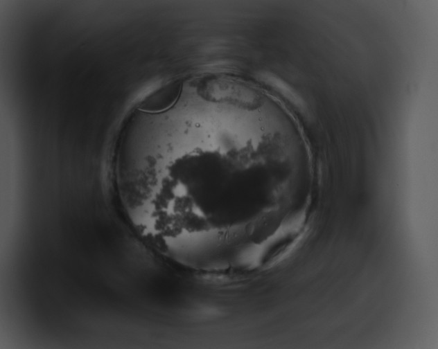 X0000100421405200806061353
