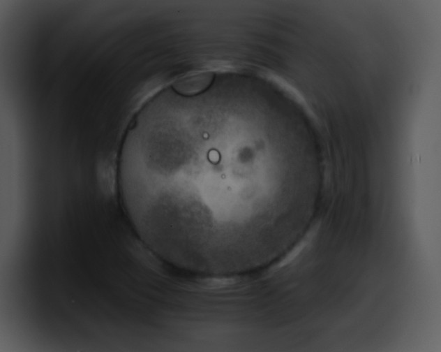X0000100421409200806061353