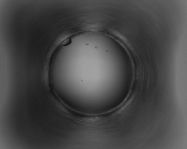 X0000100421410200806061353