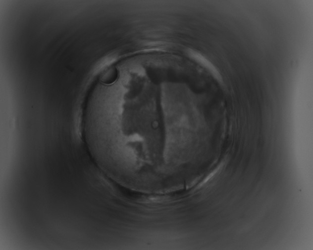X0000100421411200806061353