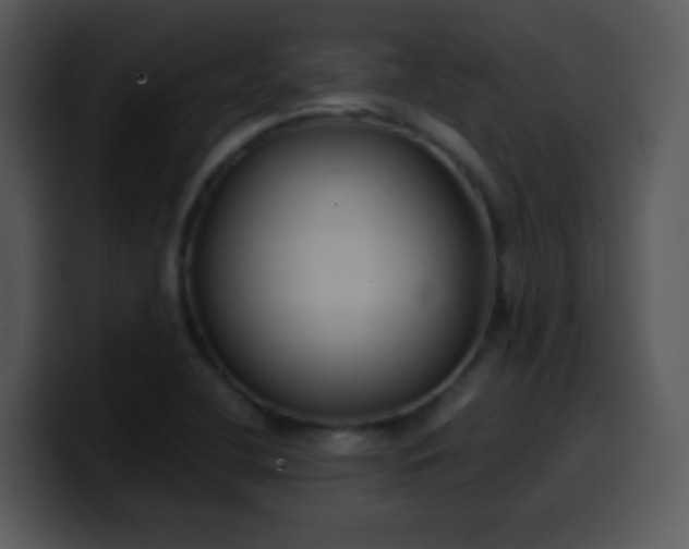 X0000100421412200806061353
