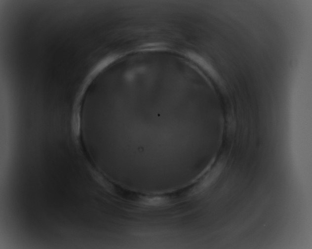 X0000100421413200806061353