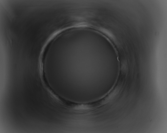 X0000100421414200806061353