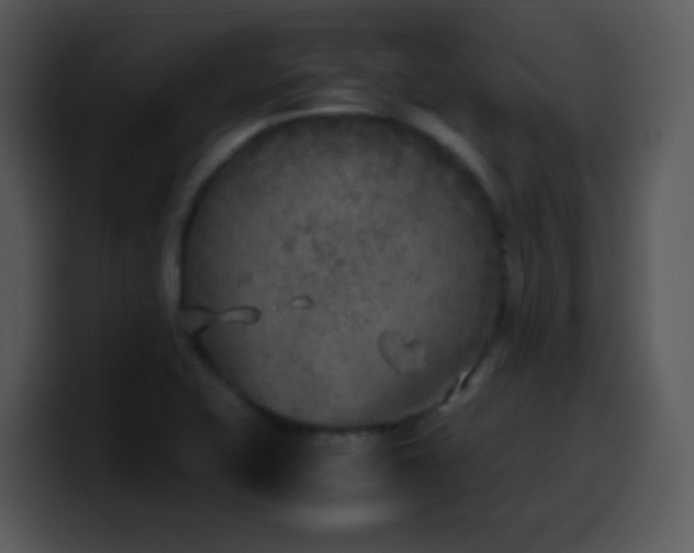 X0000100421415200806061353