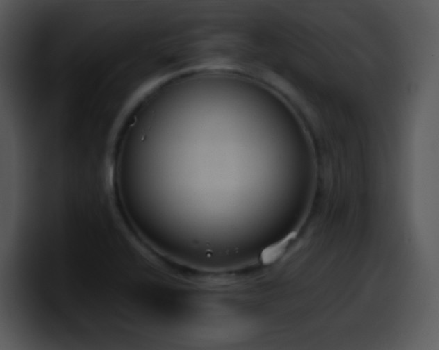 X0000100421416200806061353