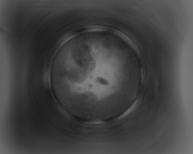 X0000100421417200806061353