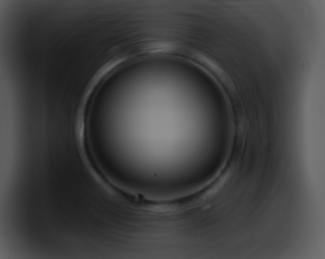X0000100421418200806061353