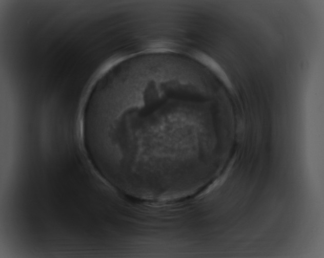 X0000100421419200806061353