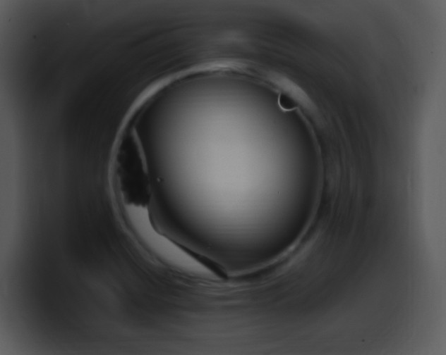 X0000100421420200806061353