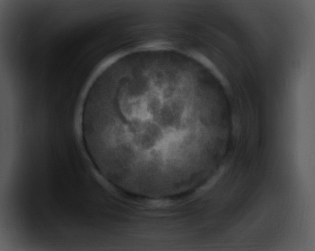 X0000100421421200806061353
