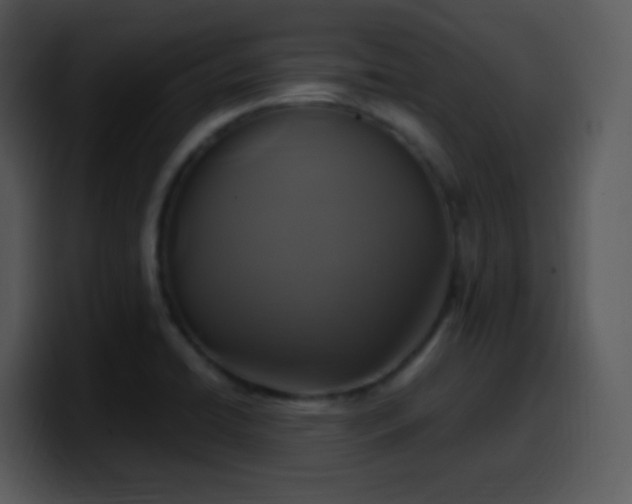 X0000100421422200806061353