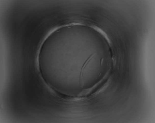 X0000100421423200806061353
