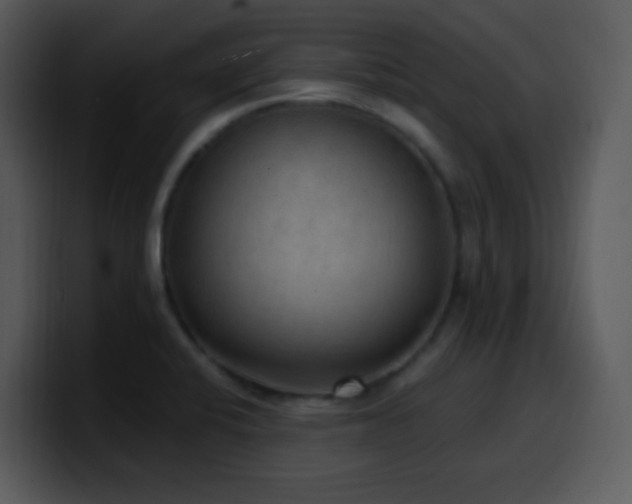 X0000100421424200806061353