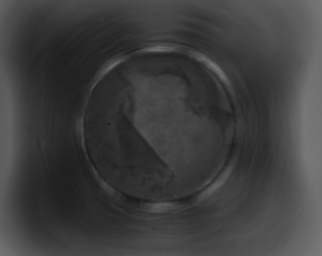 X0000100421425200806061353