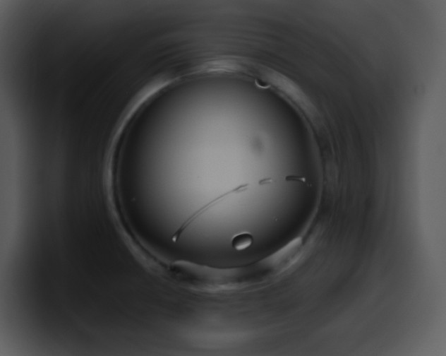X0000100421426200806061353