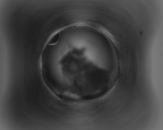 X0000100421428200806061353
