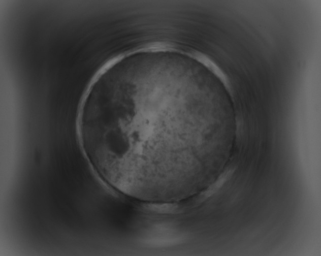 X0000100421429200806061353