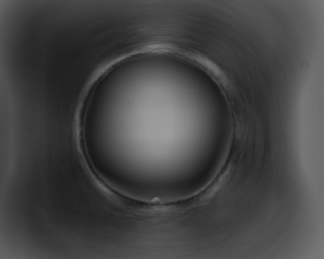 X0000100421430200806061353