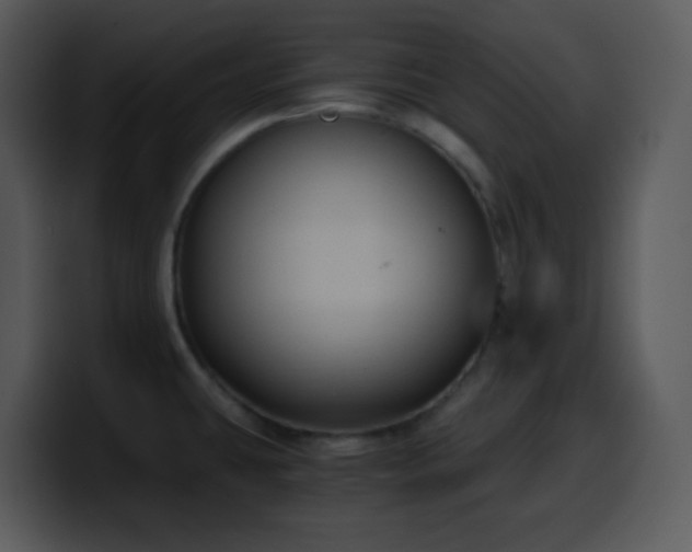 X0000100421431200806061353