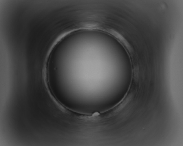 X0000100421432200806061353