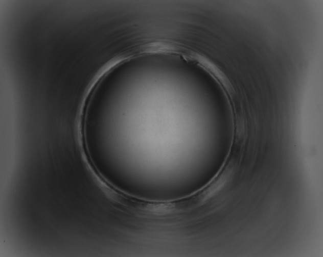 X0000100421434200806061353