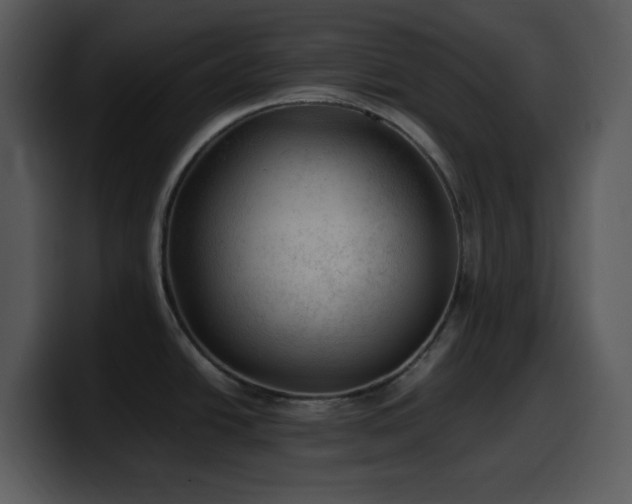 X0000100421438200806061353