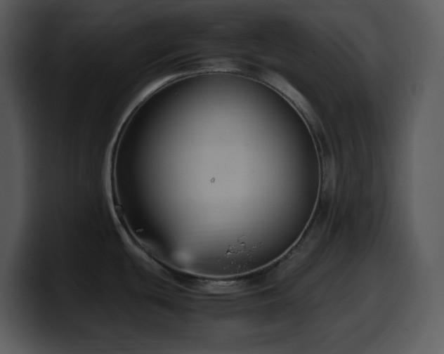 X0000100421439200806061353