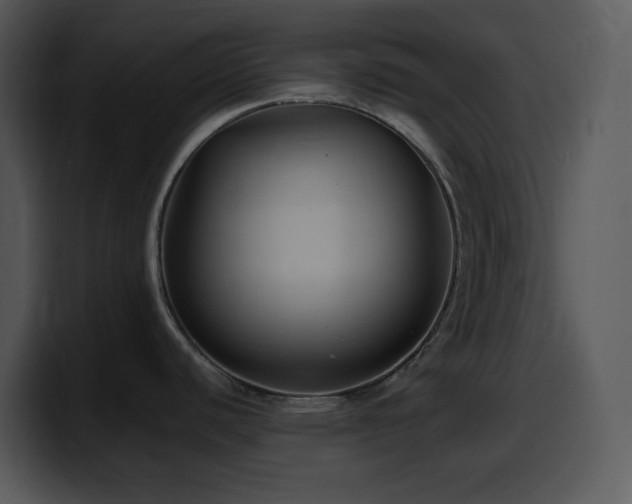 X0000100421440200806061353