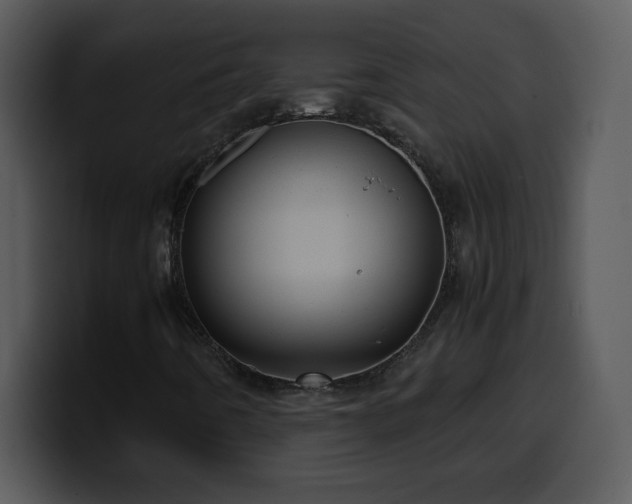 X0000100421442200806061353