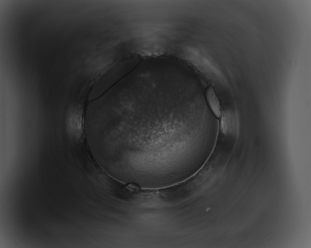 X0000100421444200806061353