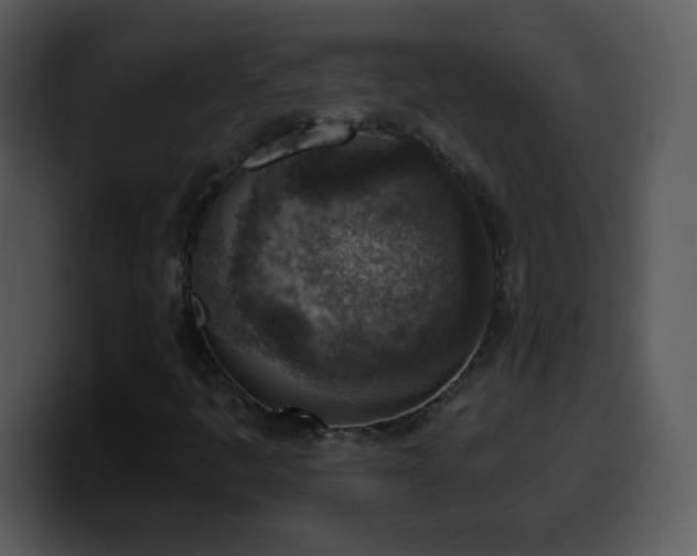 X0000100421445200806061353