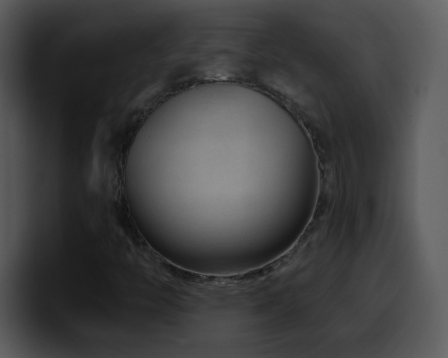 X0000100421446200806061353