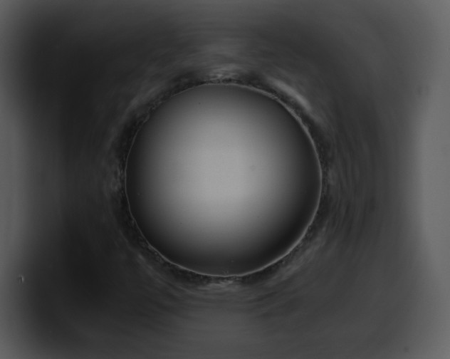 X0000100421447200806061353