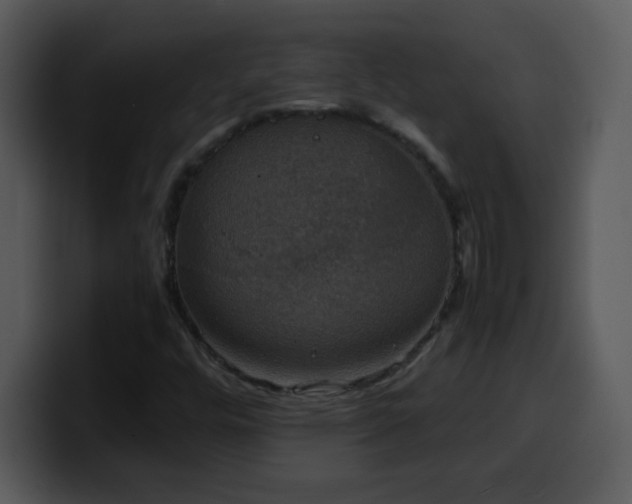 X0000100421448200806061353