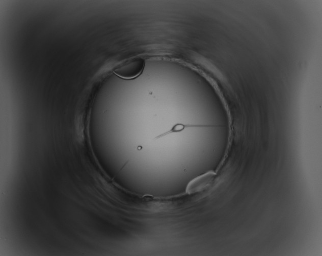 X0000100421451200806061353