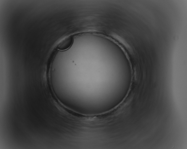 X0000100421452200806061352