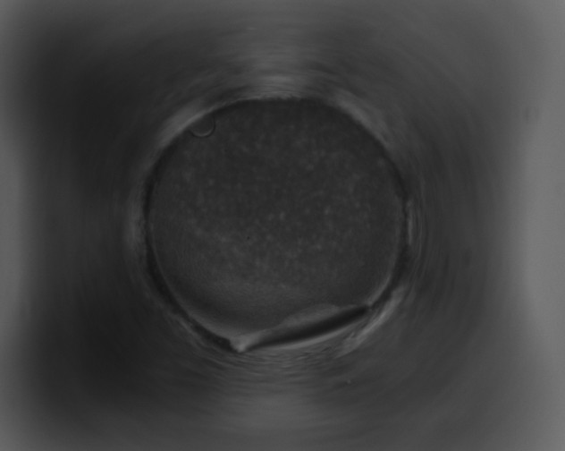 X0000100421453200806061352