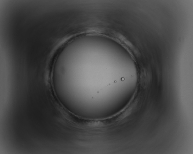 X0000100421454200806061352