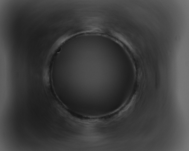 X0000100421455200806061352