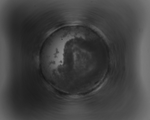 X0000100421457200806061352