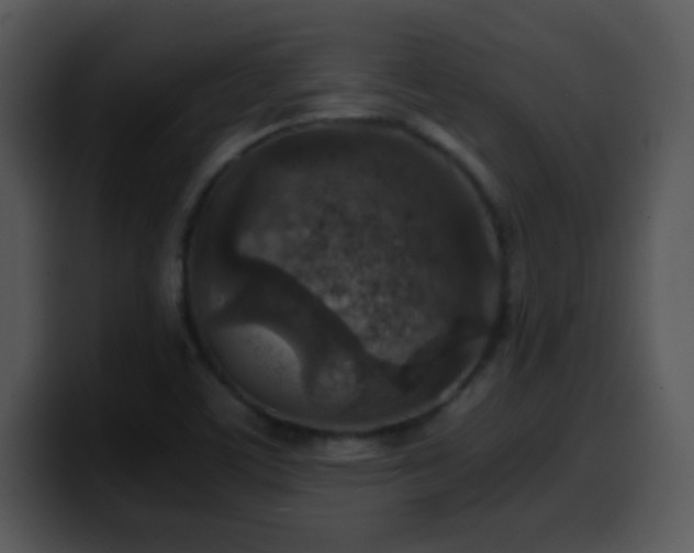 X0000100421459200806061352