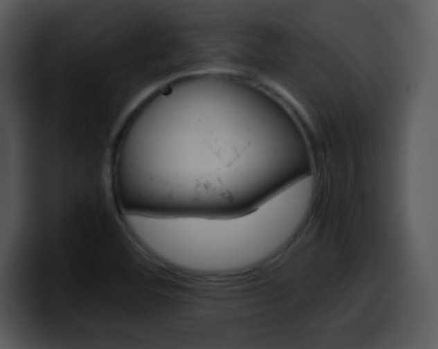 X0000100421460200806061352