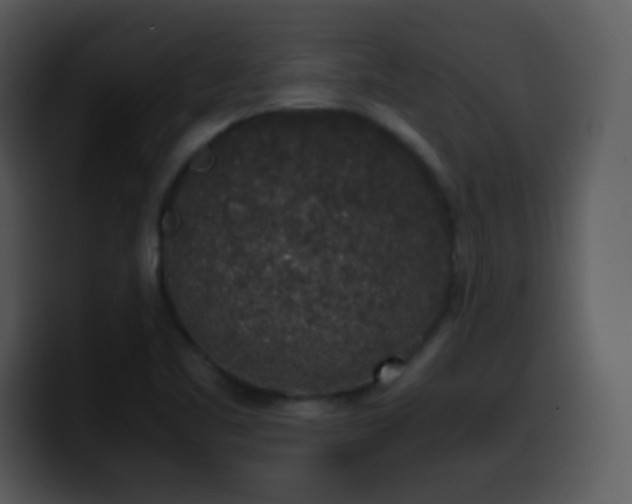 X0000100421461200806061352