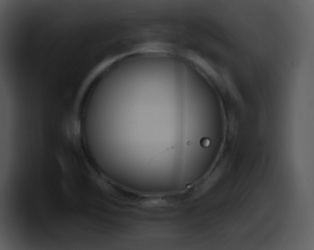 X0000100421462200806061352