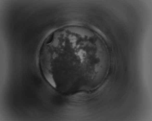X0000100421463200806061352