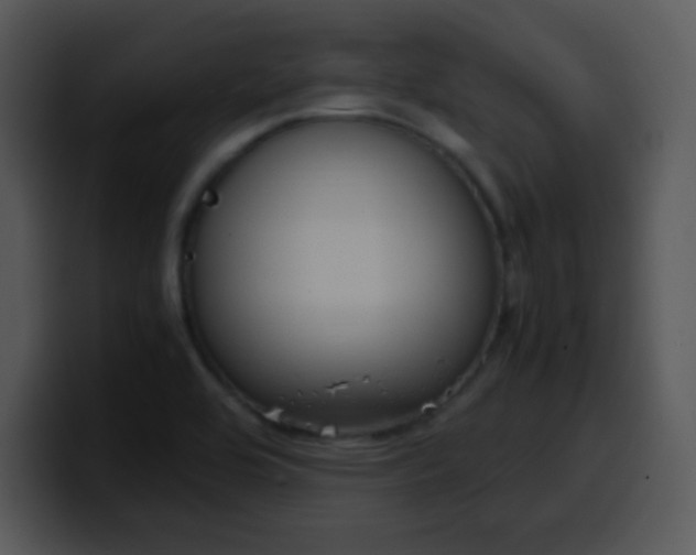 X0000100421464200806061352