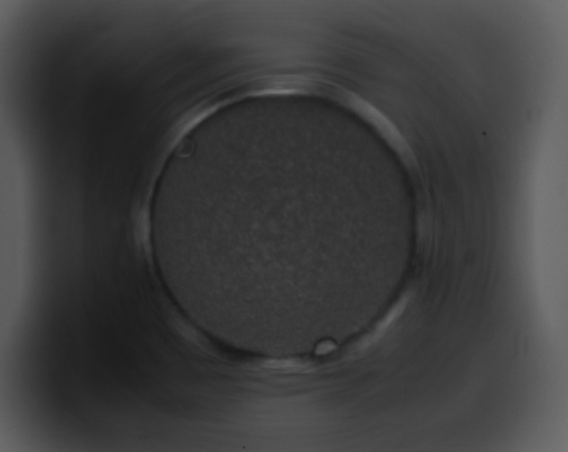 X0000100421465200806061352